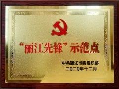 我院党支部被命名为2020年市“丽江先锋”示范点